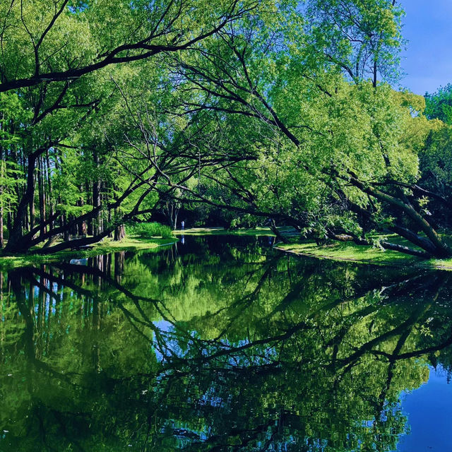 廣州流花湖公園：湖光山色，適合漫步欣賞
