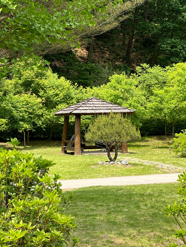 생태숲에도 눈부신 여름이 찾아왔어요! 🌞강원도 홍천 피톤치드 가득한 여름 피크닉 여행지 추천