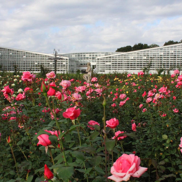 神代植物公園賞花