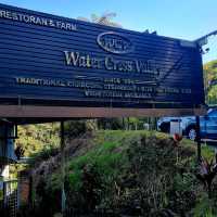 A must steamboat restaurant in Cameron Highland