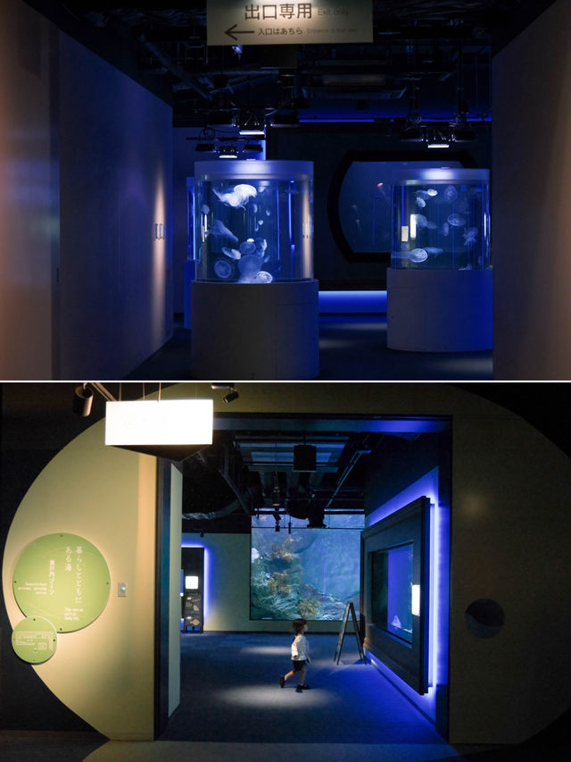 日本 ｜ 香川縣海濱絕景 四國水族館🐟