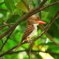 เที่ยวอุทยานแห่งชาติแก่งกระจาน เพชรบุรี