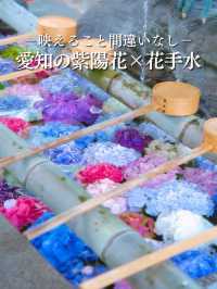 ここも無料⁉️そして穴場‼️紫陽花の花手水が美しいスポット✨