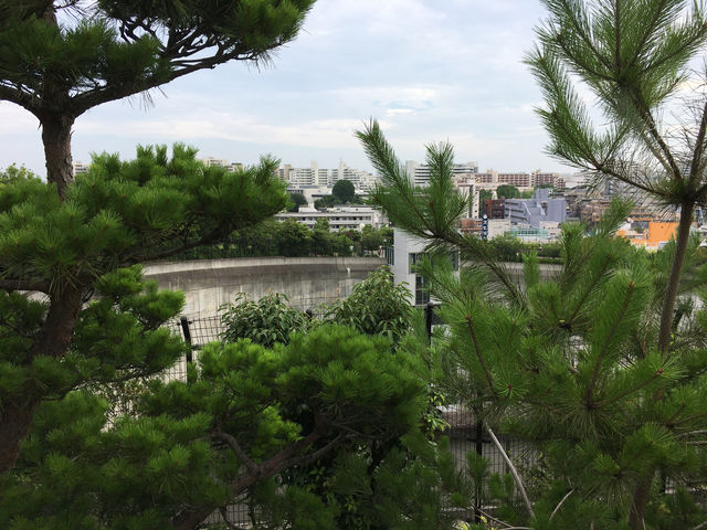 目黑天空庭園：東京市中心的綠意與寧靜