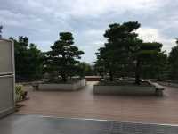 目黑天空庭園：東京市中心的綠意與寧靜