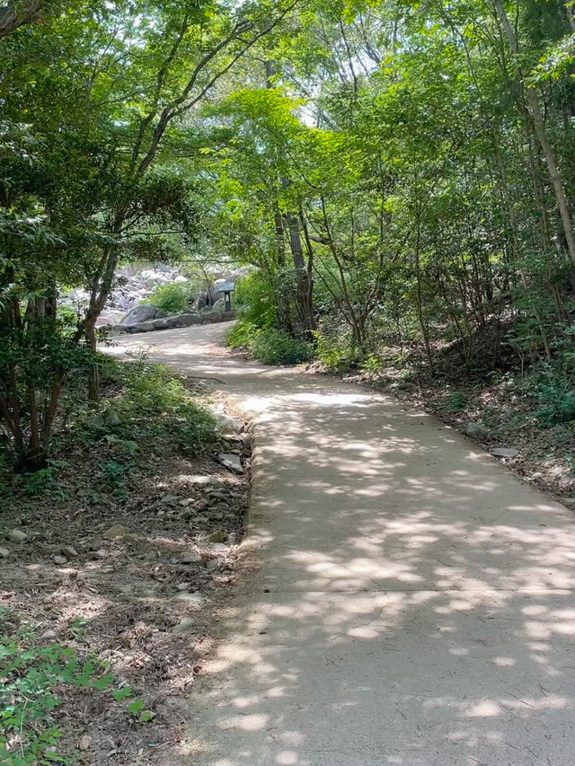 พาไปเดินป่าปูซาน | เส้นทางธรรมชาติบนภูเขาจางซาน⛰️