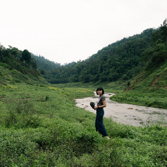 Khao Chong Lom is Calling…🏞🌳🌿