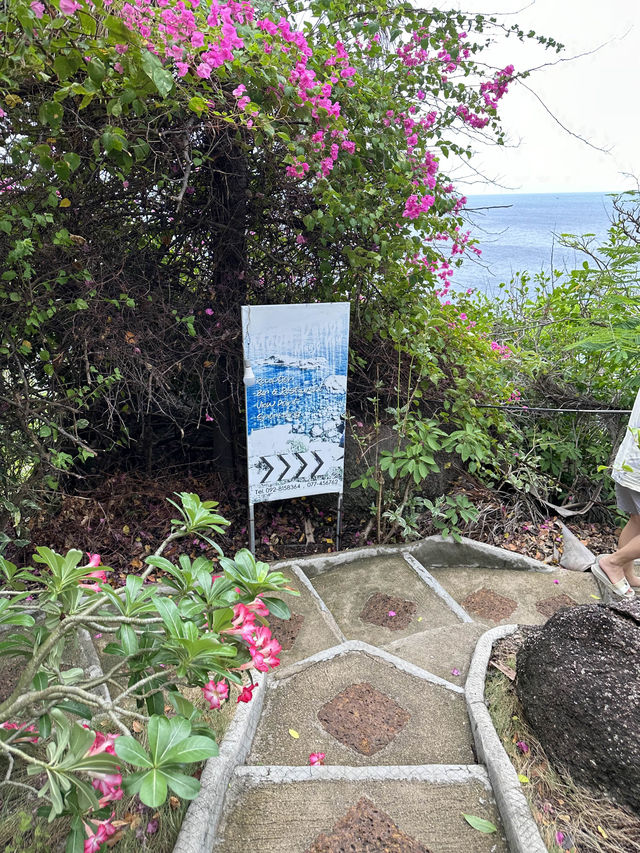 🛖 Moondance Magic View | Kohtao 