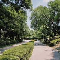 「青羅中央湖公園」湖光山色～感受大自然韻味