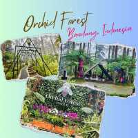 A Blooming Paradise in Bandung