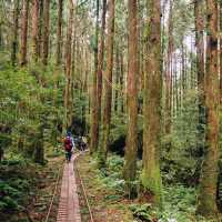 เกาะมรดกโลกทางธรรมชาติของญี่ปุ่น 