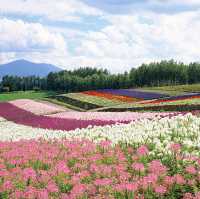 Hokkaido: Japan's Pristine Wilderness and Cultural Delights