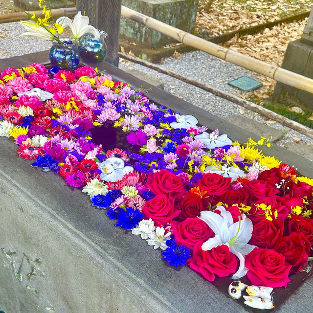 〜埼玉県〜珍しい薔薇の花手水🌹