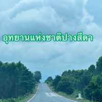 พาเที่ยวธรรมชาติน้ำตกปางสีดา ชมผีเสืัิอแสนสวย