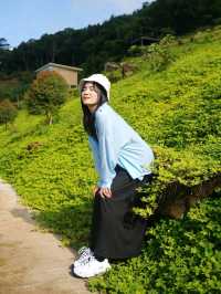 ภูบ้านสวน โฮมสเตย์ @แม่แตง เชียงใหม่