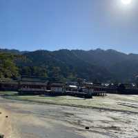 鹿と牡蠣の楽園【広島市内からフェリーてなんと10分】