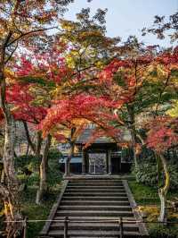 【円覚寺】北鎌倉