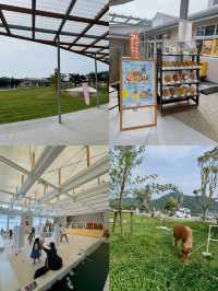 泊まれる小学校？！エモすぎる道の駅🤩🏫🌱【千葉】