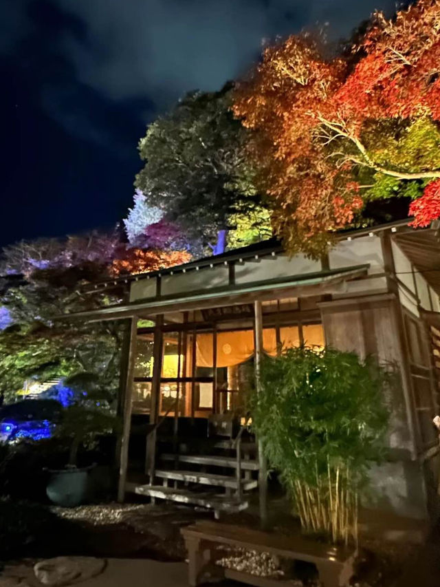 〜神奈川県〜関東の花寺、鎌倉長谷寺秋のライトアップ