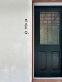 숲 속 마지막 집 정선 신상 감성숙소 🕊️🩷