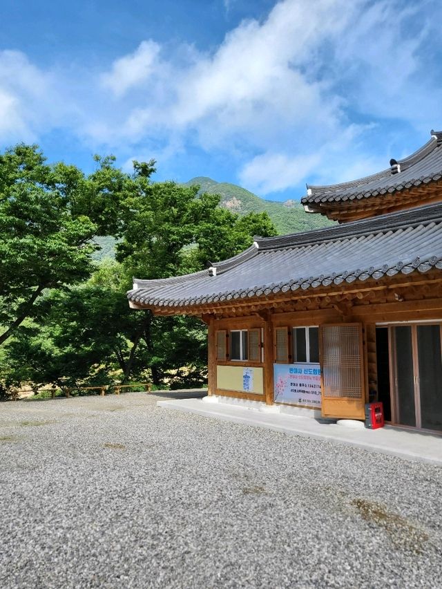 500년된 배롱나무가 있는 영동 반야사