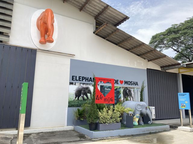 Elephant Parade Land เชียงใหม่