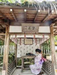 〜京都府〜結婚の最強パワスポ⛩️縁結び今宮神社♡