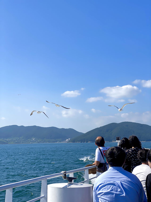이국적인 분위기 가득🌳 거제도 대표 여행지 📍외도 보타니아