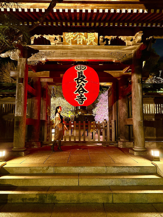 〜神奈川県〜鎌倉の名所！長谷寺ライトアップ！