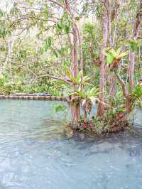 ป่าต้นน้ำบ้านน้ำราด ความสวยงามแบบ Unseen 🌳💦