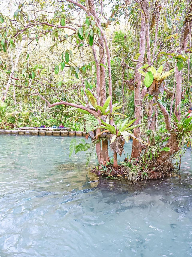 ป่าต้นน้ำบ้านน้ำราด ความสวยงามแบบ Unseen 🌳💦