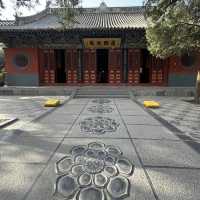 Encountering the Most Beautiful Spring at White Horse Temple
