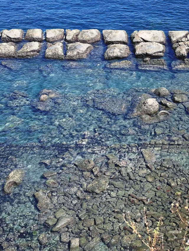 新北市北海岸「萬金石」一日遊