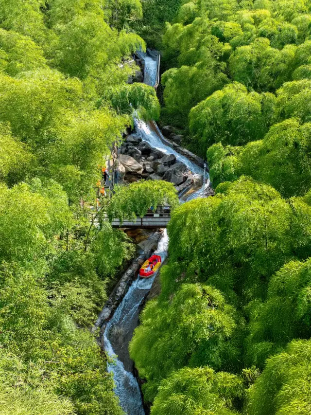 여름 필수 여행지: 안지 대나무 숲 래프팅, 소리 지르며 즐기기!