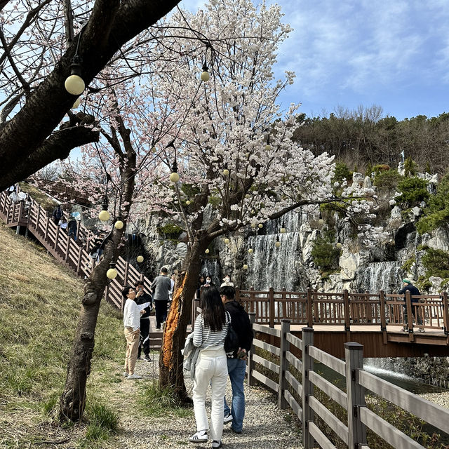예쁜 꽃과 호수가 인상깊었던 이천 설봉공원🏞️