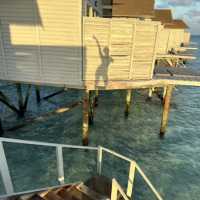 Maldives I sea you!!!