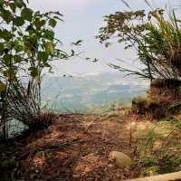 【臺中】熱門登山步道，適合喜歡自然景觀和健行活動的人