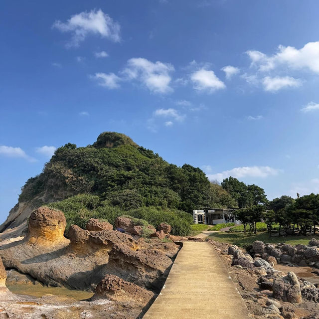 【野柳地質公園】120元全票，附近有海鮮餐廳