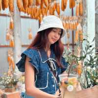 #ร้านปาฎี #คาเฟ่ระยอง #ธีมฤดูกาลเก็บเกี่ยวข้าวโพด 