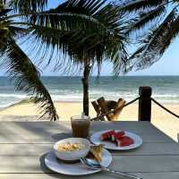 로맨틱한 동남아 바이브의 끝판왕 무이네 빌라아리아🌴