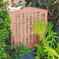 三光稻荷⛩️神社💦洗錢💴之旅