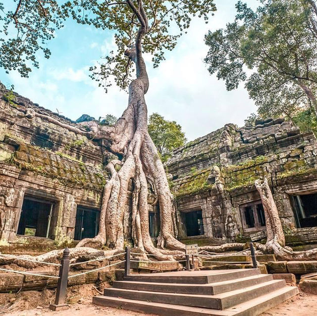 Exploring the Temples of Angkor Wat