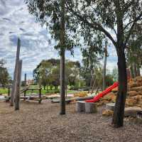 Birdwatcher’s Paradise in the Heart of the City