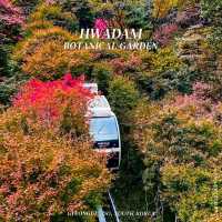 Hwadam Botanical Garden - South Korea