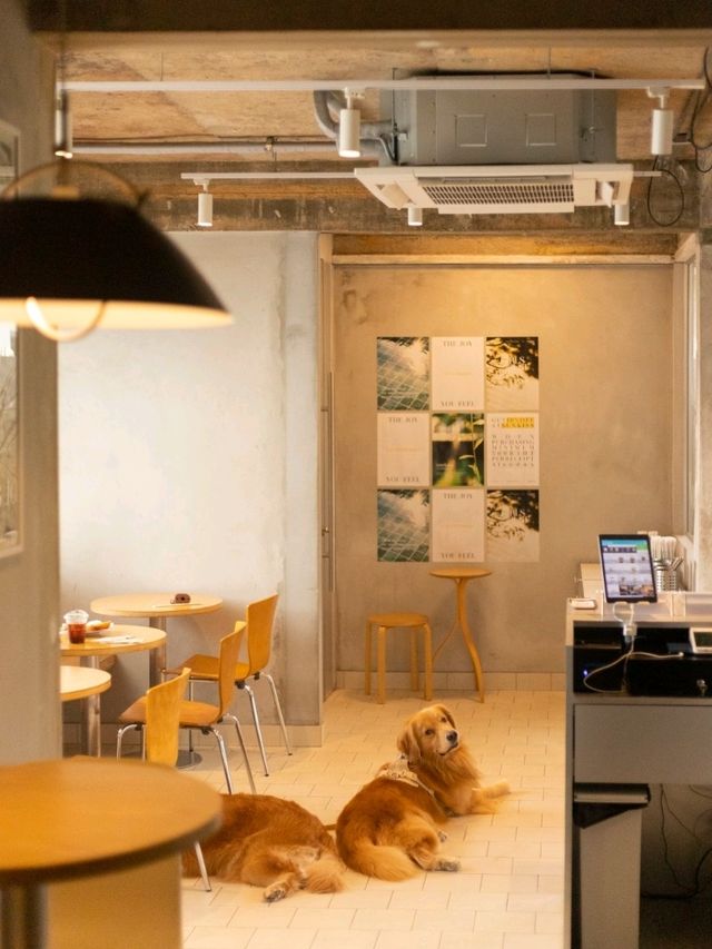 SYDNY CAFE'