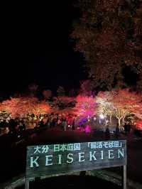 【大分観光】ライトアップされた紅葉を楽しめる日本庭園🍁✨️