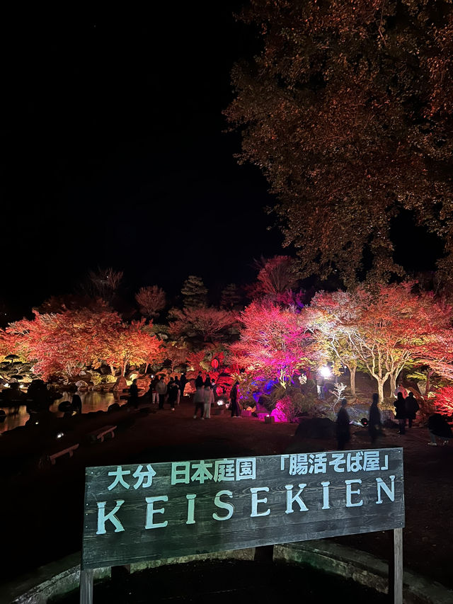 【大分観光】ライトアップされた紅葉を楽しめる日本庭園🍁✨️
