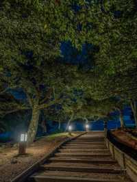 秋の連休はここに決まり！！夜景スポット奈良県1番💫若草山展望台 3箇所花火大会が一気に見れる！