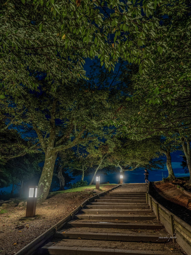 秋の連休はここに決まり！！夜景スポット奈良県1番💫若草山展望台 3箇所花火大会が一気に見れる！
