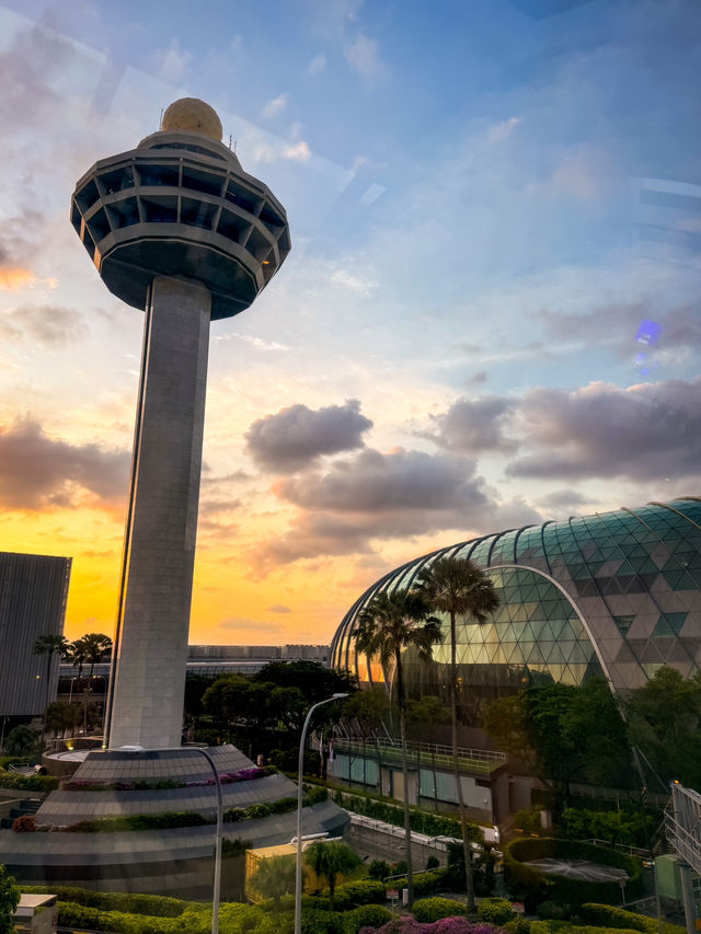 Golden Hour at Jewel Changi Airport: A Family Experience